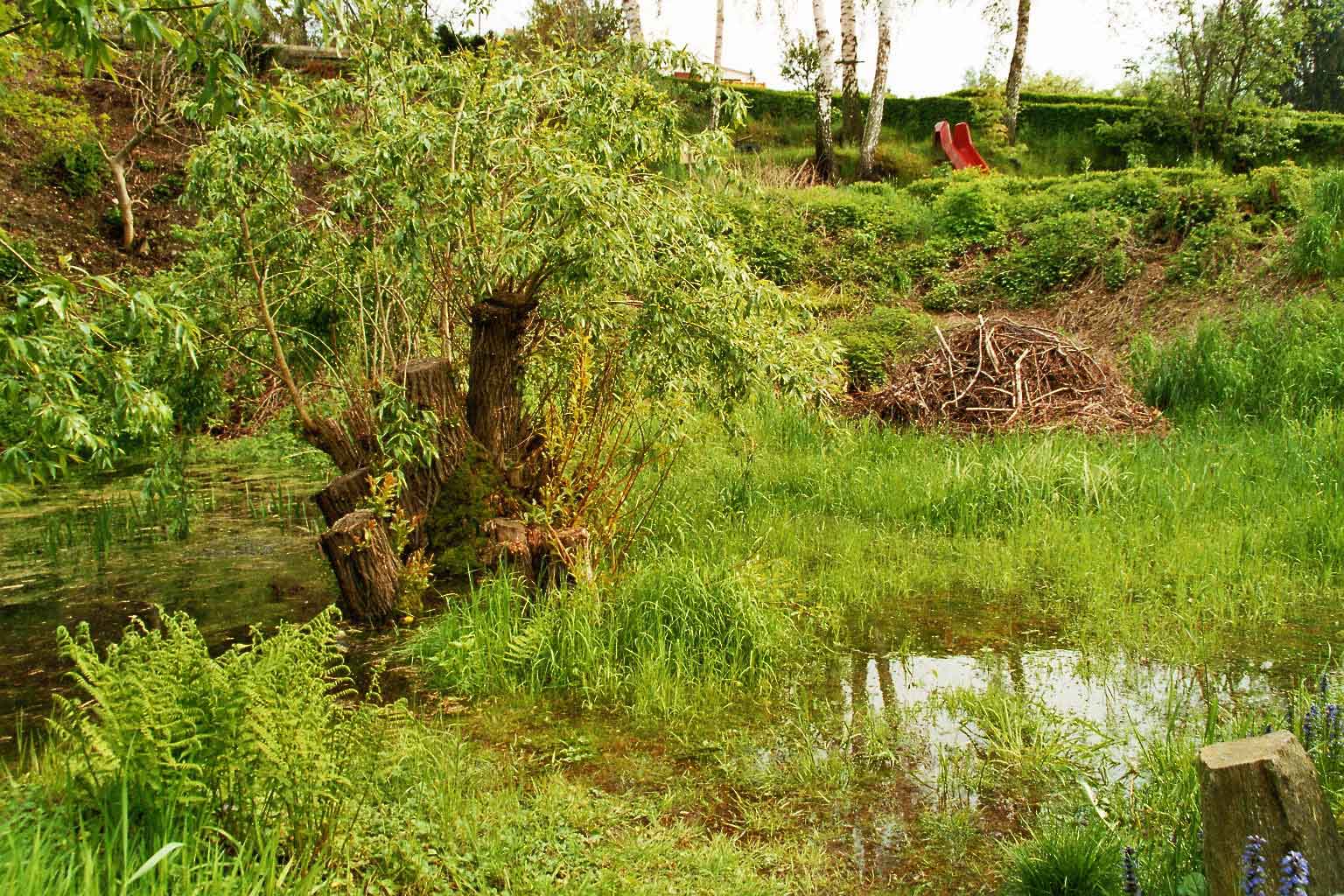 Biotop Steinbruchteich